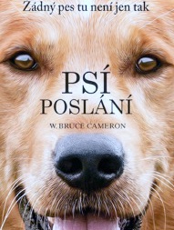 Filmové představení k 25. výročí Diecézní charity Brno v Tišnově