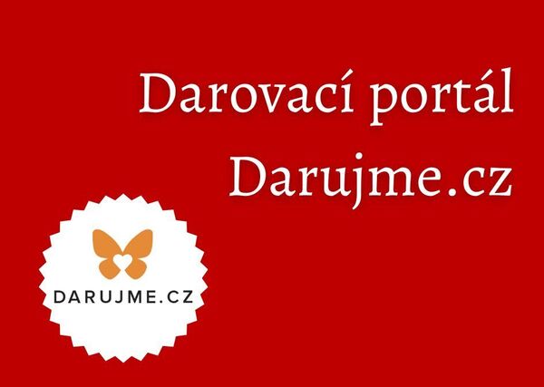 Mřížka na webu (2)