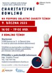 Charitativní bowling (9)